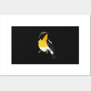 Narcissus Flycatcher Posters and Art